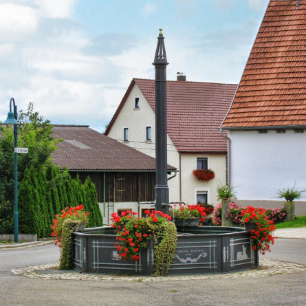 Jetzt inCMS Nische Website erstellen