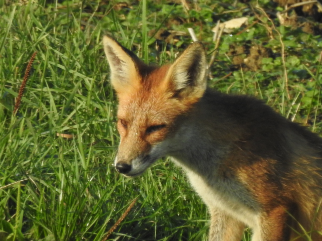 DSCN0942.JPG