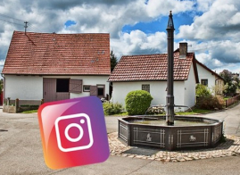 insta_ort5.jpg