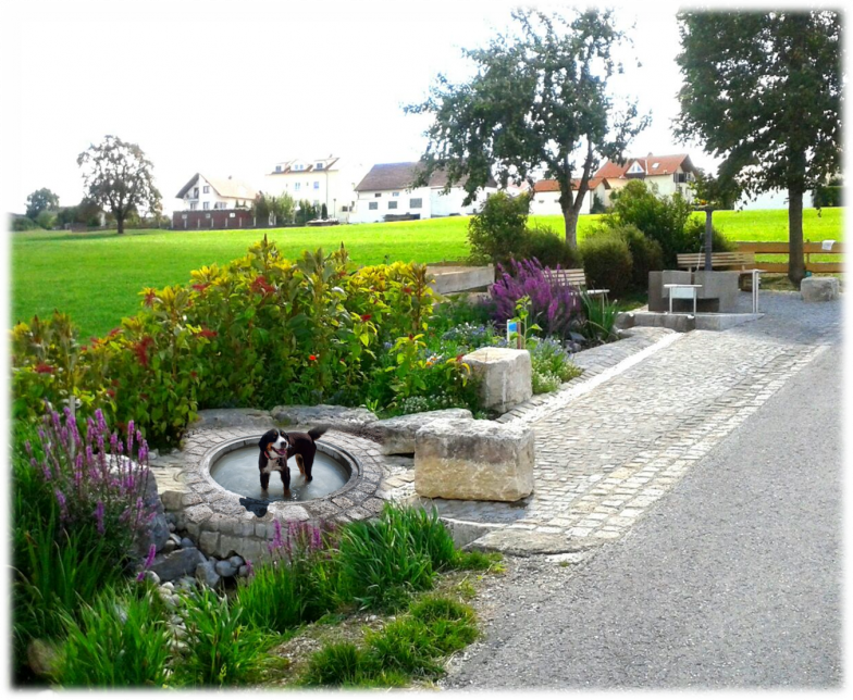 Dingelebrunnen-Perfekt_3.png